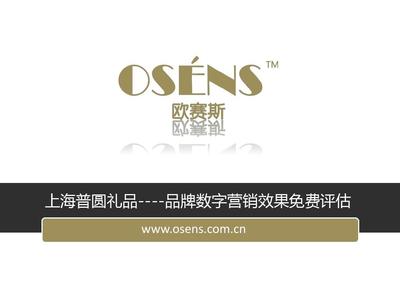 歐賽斯品牌互聯網營銷免費評估報告 上海普圓禮品互聯網銷售策略深度解析